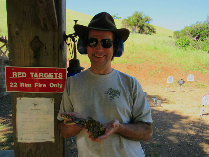 Pacific Gopher Snake